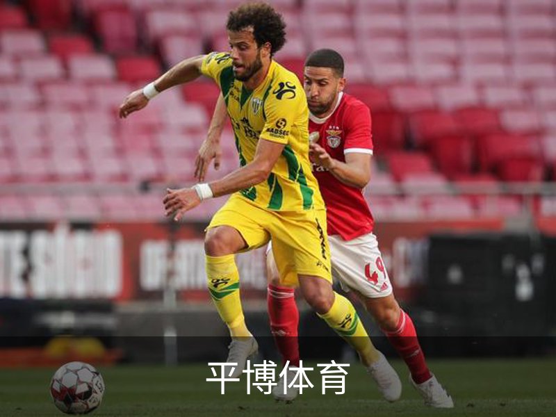 企业介绍