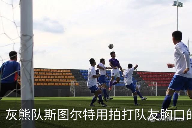 灰熊队斯图尔特用拍打队友胸口的方式，庆祝球队取得5胜0负的战绩